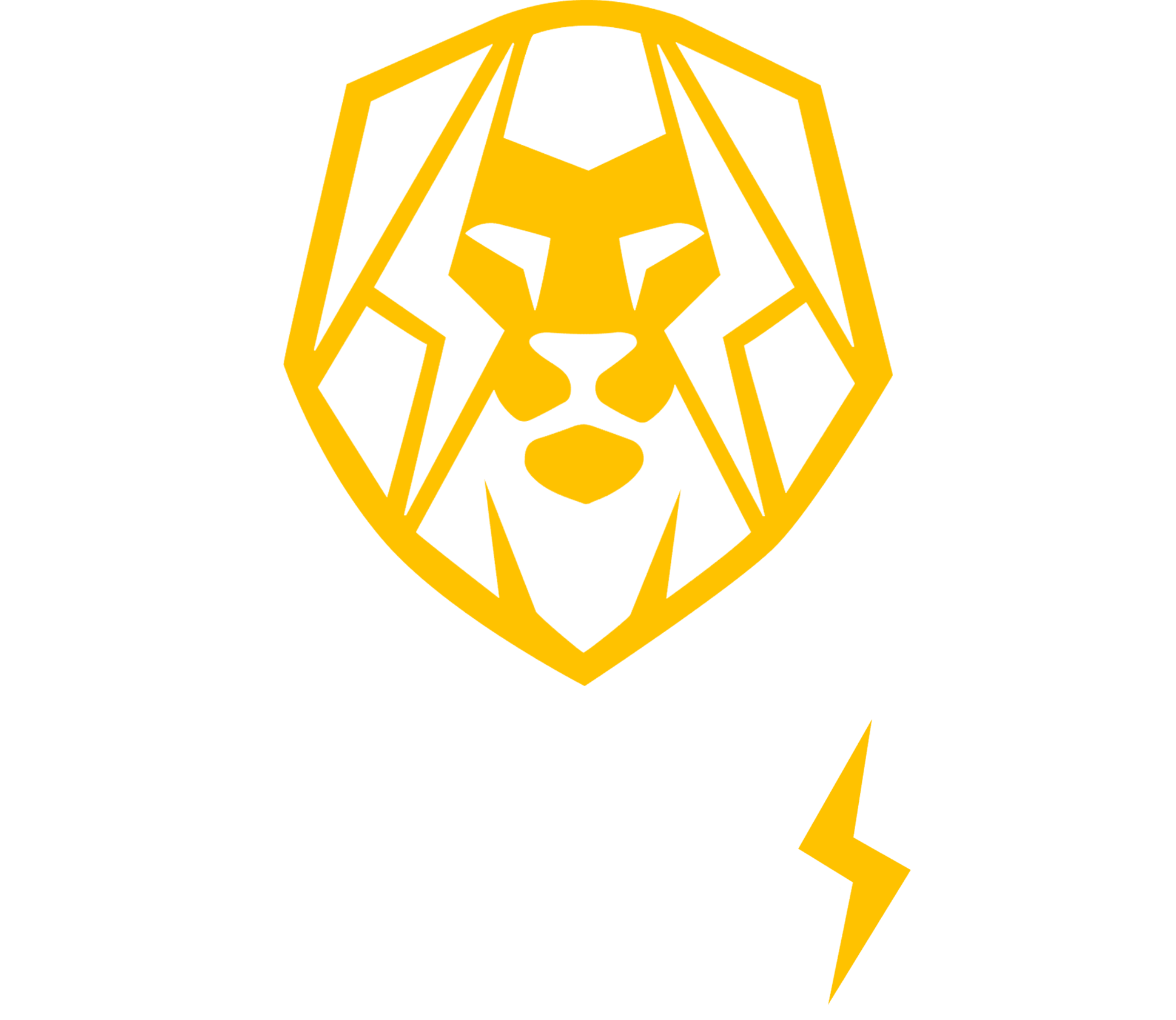 Bravon Engenharia